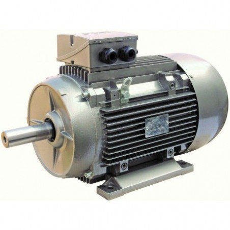 Silnik elektryczny 450Kw