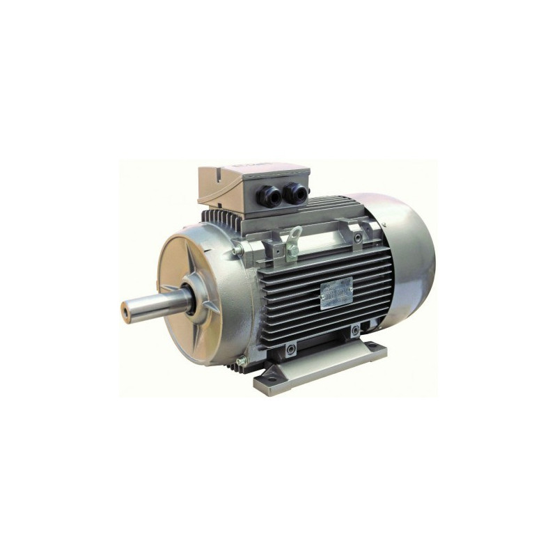 Silnik elektryczny 500Kw